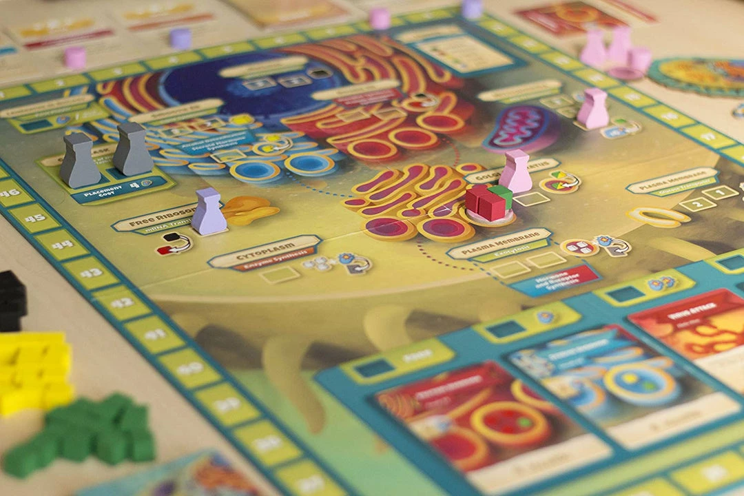 Best deal π€© Genius Games Cytosis A Cell Biology Game β 5 Genius Games Cytosis A Cell Biology Game