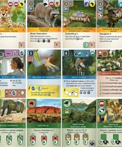 Capstone Games Best Sellers Ark Nova