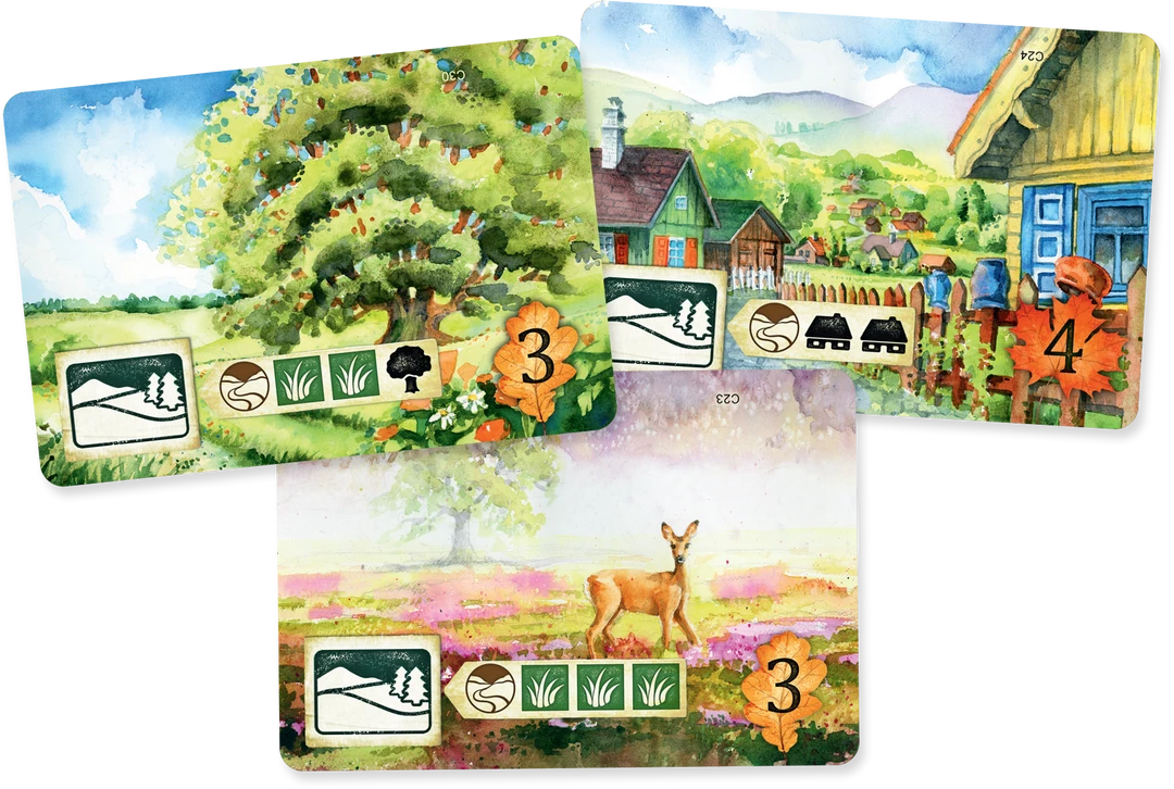 Best Pirce β¨ Rebel Studio Meadow Card Games π 3 Rebel Studio Meadow Card Games